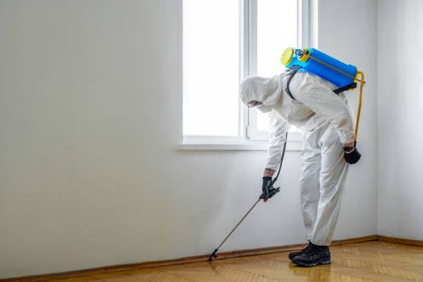 Pest Control for Hotels in Cotulla, TX